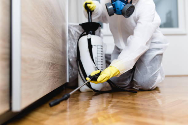 Best Best Pest Control Near Me  in Holly Springs, MS