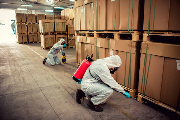 Best Commercial Pest Control Services  in Holly Springs, MS