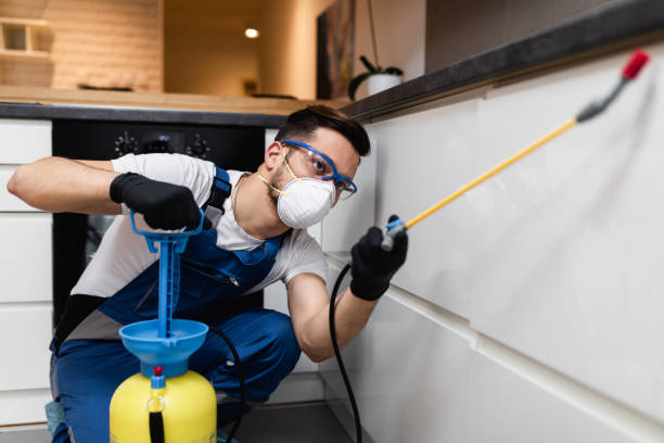 Best Wasp Removal Services  in Holly Springs, MS