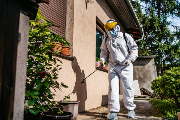 Best Pest Removal Services  in Holly Springs, MS