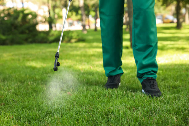 Trusted Holly Springs, MS Pest Control Experts