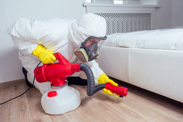 Best Pest Removal Services  in Holly Springs, MS