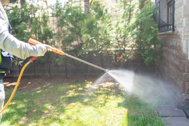 Spider Control Near Me in Holly Springs, MS