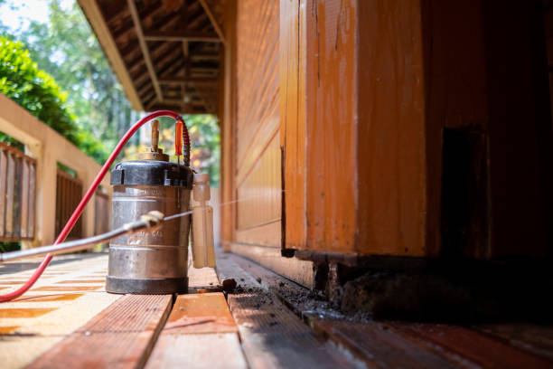 Best Termite Control Services  in Holly Springs, MS