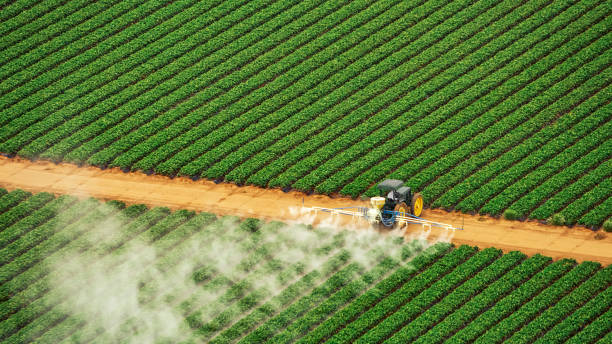 Best Commercial Pest Control Services  in Holly Springs, MS