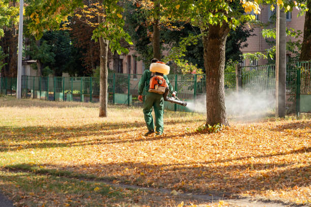 Best Insect Control  in Holly Springs, MS