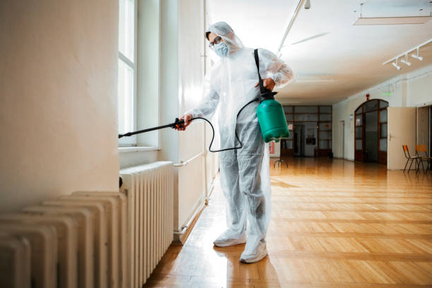 Best Local Pest Control Services  in Holly Springs, MS