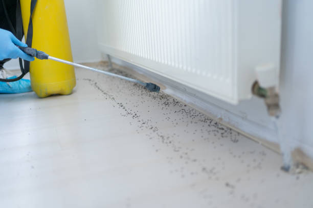 Best Wildlife Control Services  in Holly Springs, MS